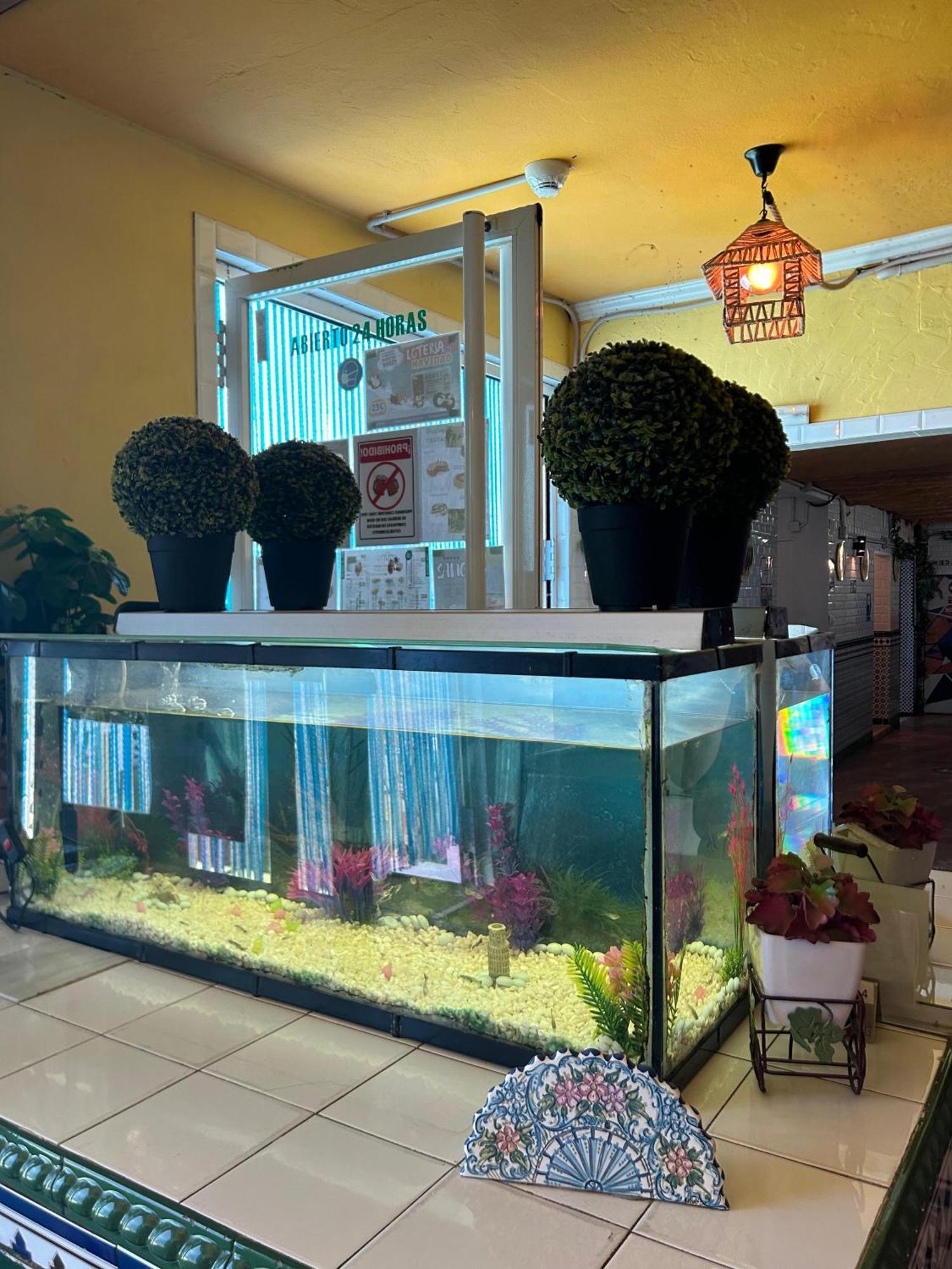 Hostal Avenida Andalucia - Solo Adultos Sevilla Buitenkant foto